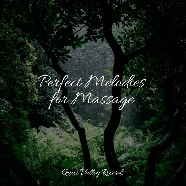 Perfect Melodies for Massage - Sonido de lluvia