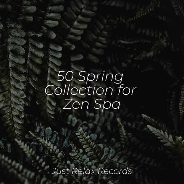 50 Spring Collection for Zen Spa - Drowsy Cloud