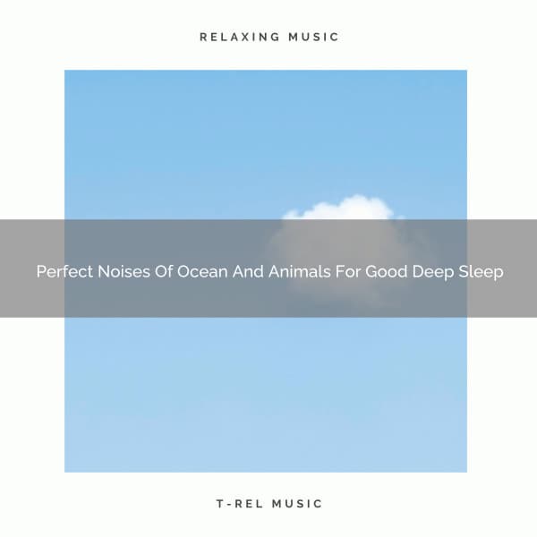 Perfect Noises Of Ocean And Animals For Good Deep Sleep - Dreamy White Noise