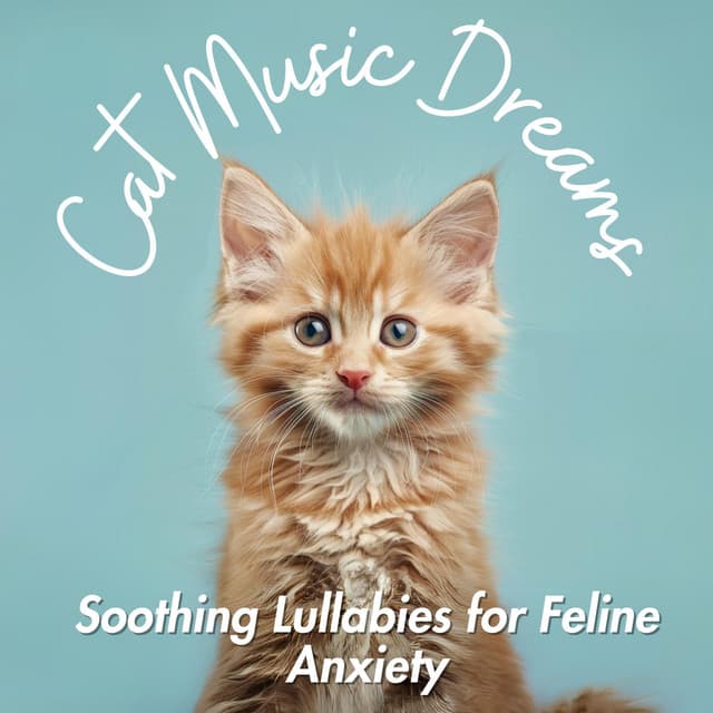 Cat Music Dreams - Soothing Lullabies for Feline Anxiety - Relax My Cat