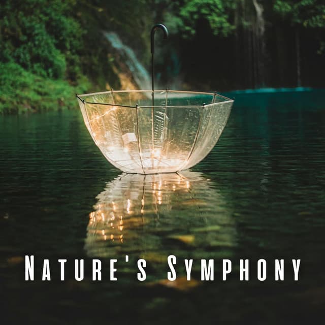 Nature's Symphony: Relaxation with Birds and Heavy Rain - Sound of Nature