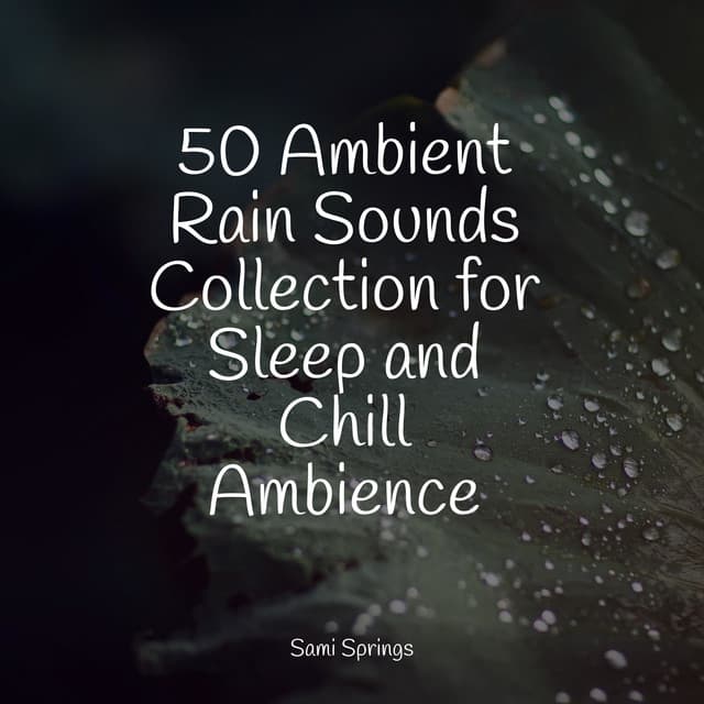 50 Ambient Rain Sounds Collection for Sleep and Chill Ambience - Sleep Meditation Dream Catcher