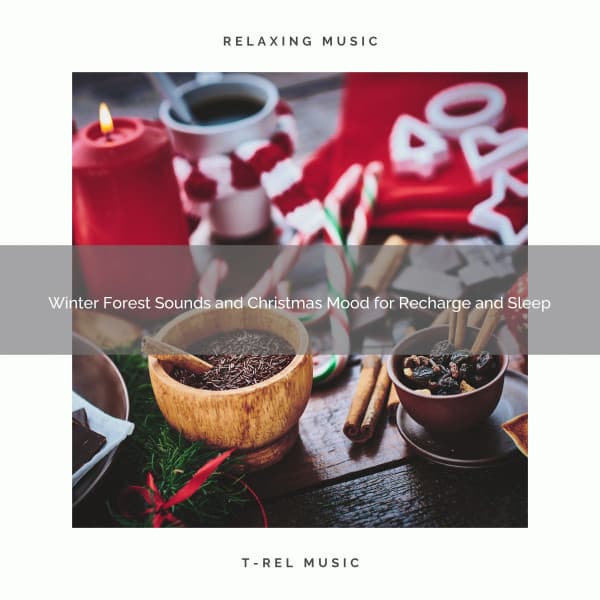 Winter Forest Sounds and Christmas Mood for Recharge and Sleep - Nature Sound Series