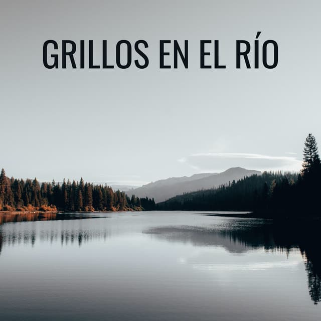 Grillos En El Río - Sonidos del río