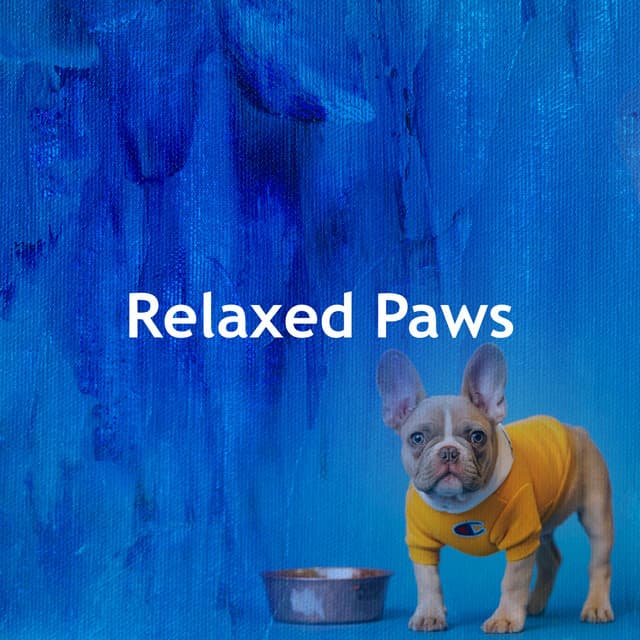 Relaxed Paws - Dog Music Hour
