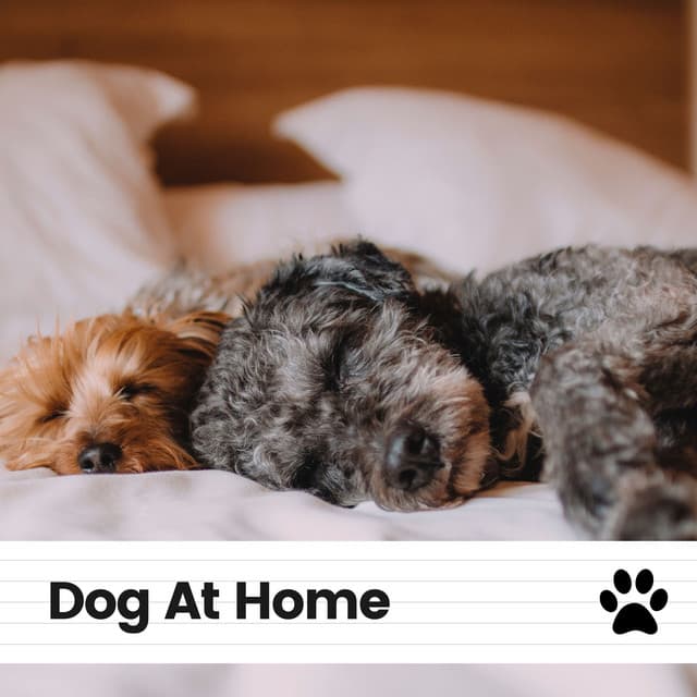 Dog At Home - Sleeping Music For Dogs