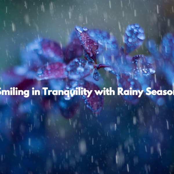 Smiling in Tranquility with Rainy Season - Working from Home Music