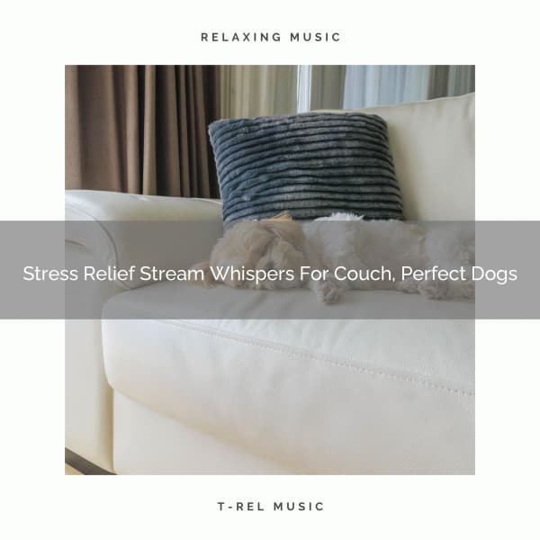 Stress Relief Stream Whispers For Couch, Perfect Dogs - Pets Total Relax
