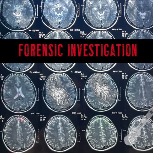 Forensic Investigation - Adam Saunders