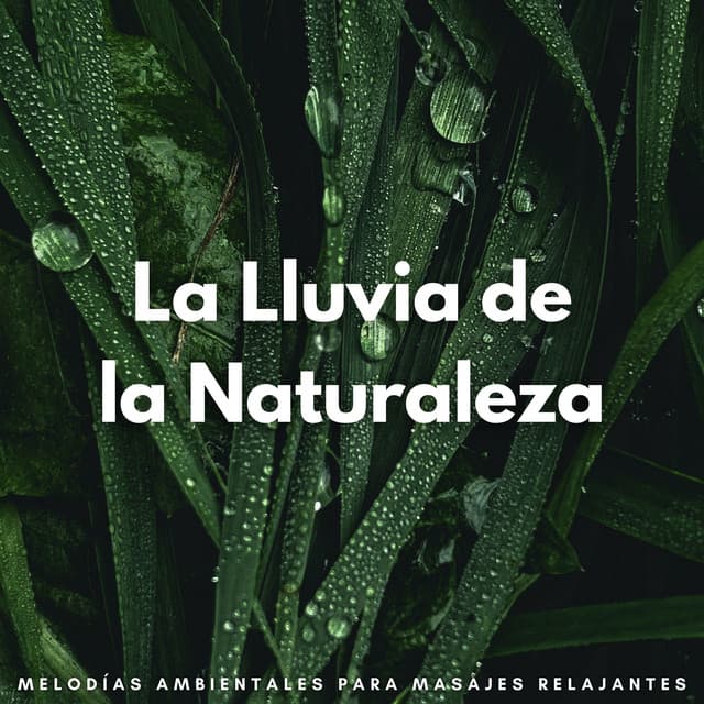 La Lluvia De La Naturaleza: Melodías Ambientales Para Masajes Relajantes - Lluvia Relajante