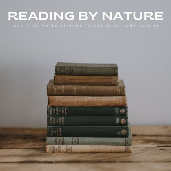 Reading By Nature: Soothing Water Streams To Focus On Your Reading - White Noise Universe