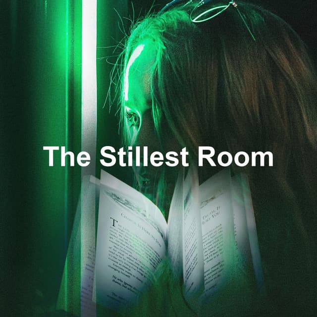 The Stillest Room - Study Zone
