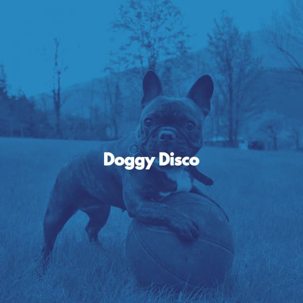 Doggy Disco - Música para Tiendas Minoristas