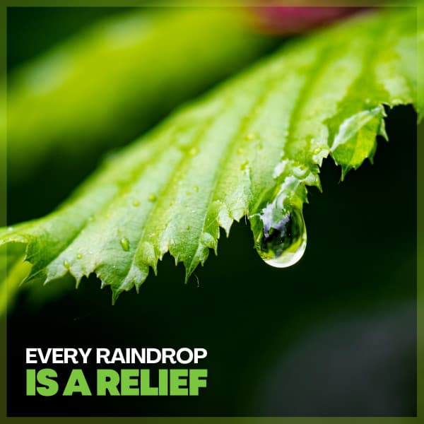 Every Raindrop Is a Relief - Rain Sounds FX