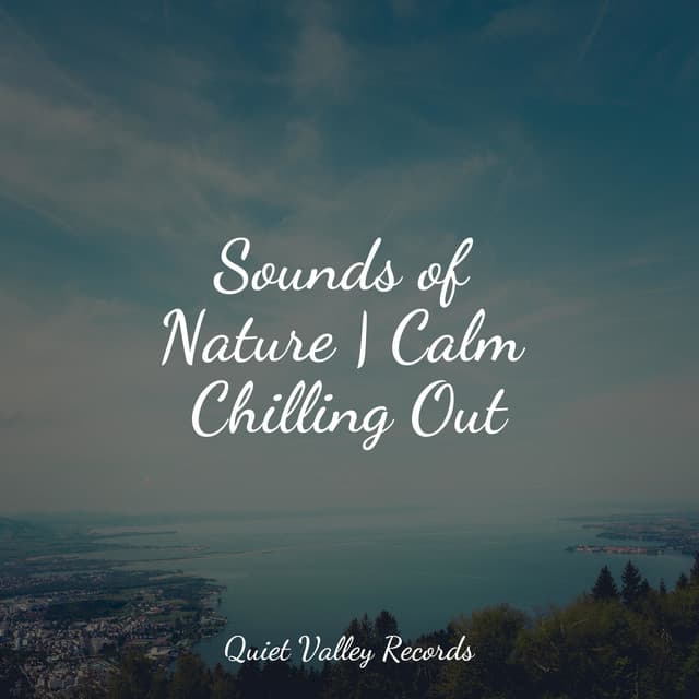 Sounds of Nature | Calm Chilling Out - Soothing Music Academy