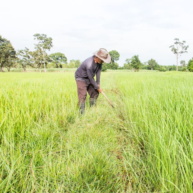 Ethereal Efforts: Work with Rain Meditation Music - Co-Working Music Playlist