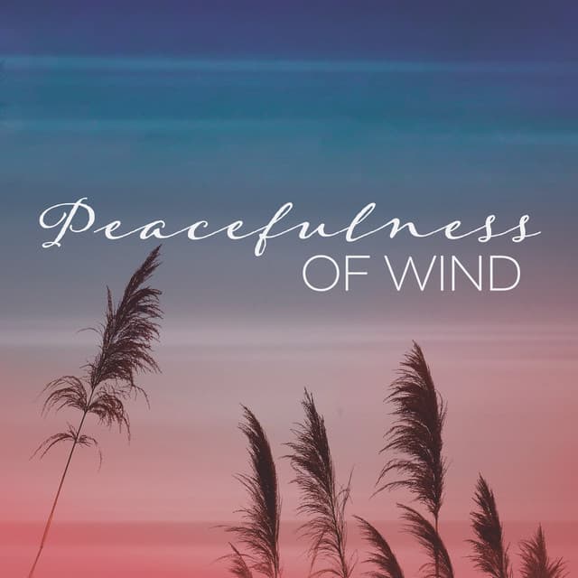 Peacefulness of Wind: Harmonic Sounds to Unwind Your Anxiety, Wind Noise for Sleep and Total Comfort - Relaxation Meditation Songs Divine