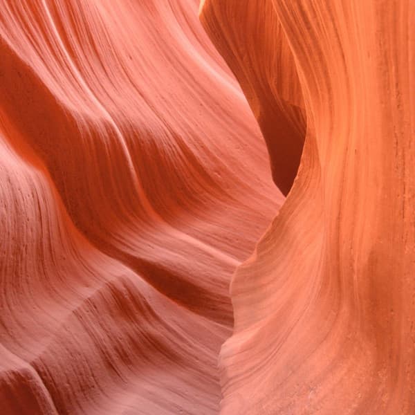 Excellent Backdrop for Jazzy Nature - Música de Trabajo Ambiente