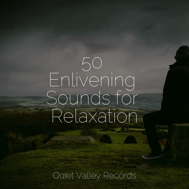 50 Enlivening Sounds for Relaxation - Deep Sleep Meditation