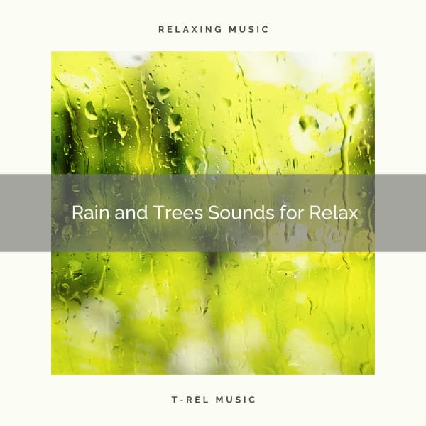 Rain and Trees Sounds for Relax - Calm Rain Music