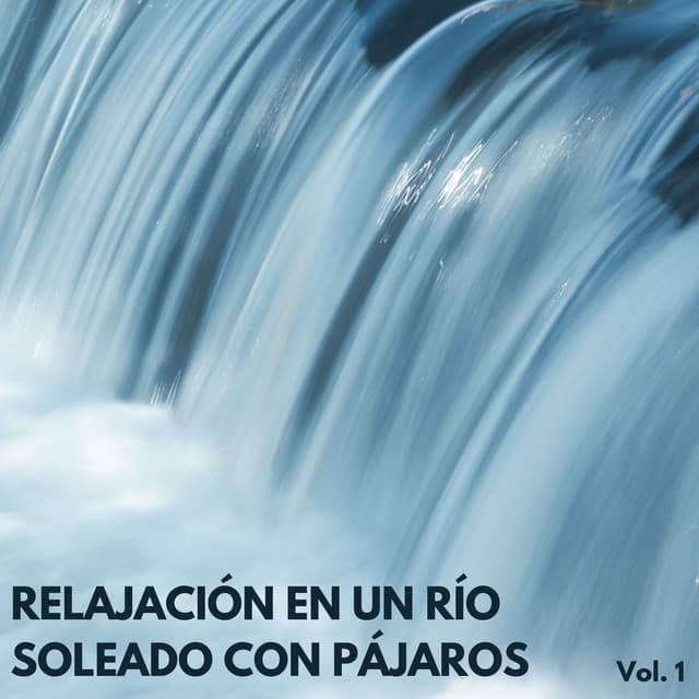 Relajación En Un Río Soleado Con Pájaros Vol. 1 - Academia de Música con Sonidos de la Naturaleza
