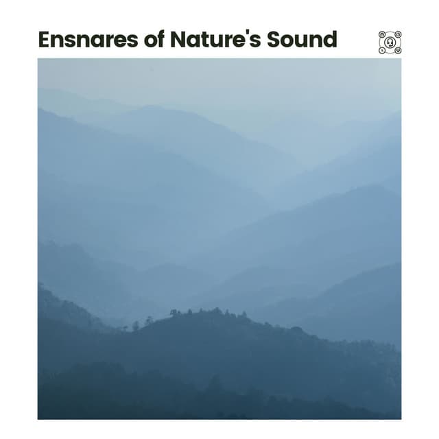 Ensnares of Nature's Sound - Worldwide Nature Studios