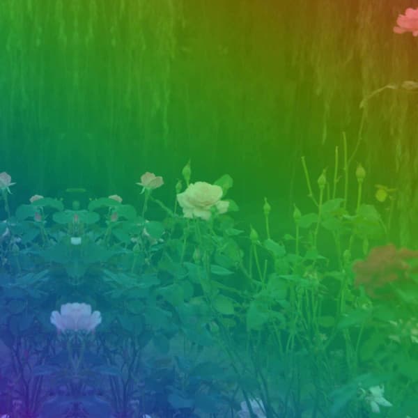 Swanky Music for Still Steps - Jazz-hop - Lo-Fi for Sleeping