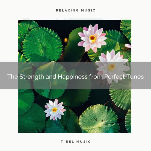The Strength and Happiness from Perfect Tunes - 101 Relax