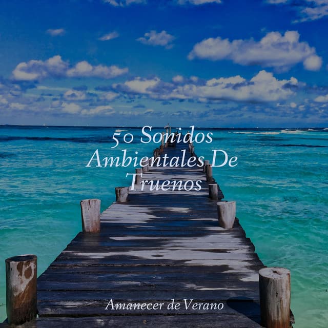 50 Sonidos Ambientales De Truenos - Sonidos de la Naturaleza Relajacion