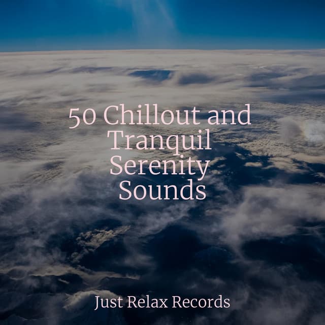 50 Chillout and Tranquil Serenity Sounds - Relaxed Minds