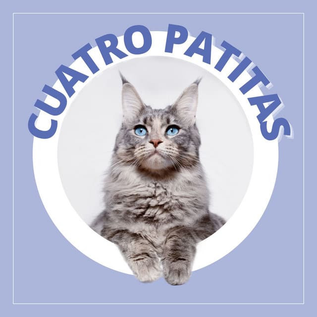 Cuatro Patitas: Música Anti Ansiedad para Calmar a Tu Animal de Compañia - Music for Pets Specialists