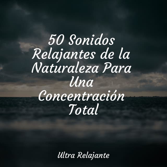 50 Sonidos Relajantes de la Naturaleza Para Una Concentración Total - Meditación Interna