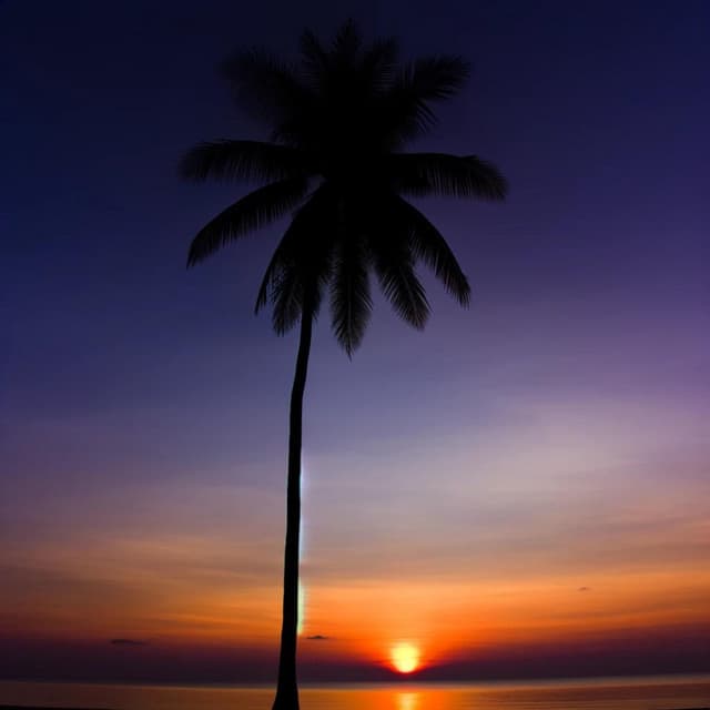 Brazilian Chill - Bossa Chill Out