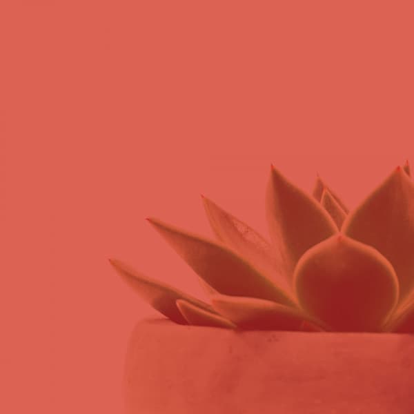 Modish Piano and Glockenspiel - Background for Recharging Rest - Instant Relax