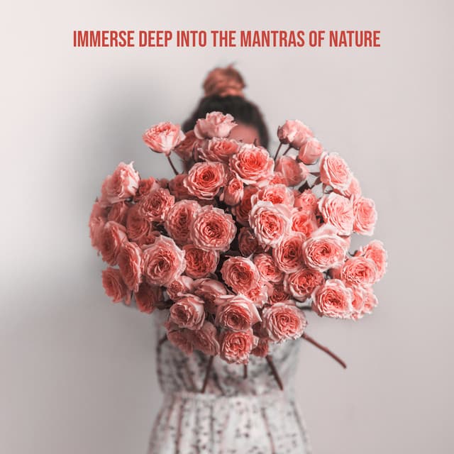 Meditation Music Artists