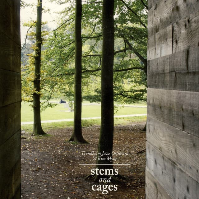 Stems and Cages - Kim Myhr