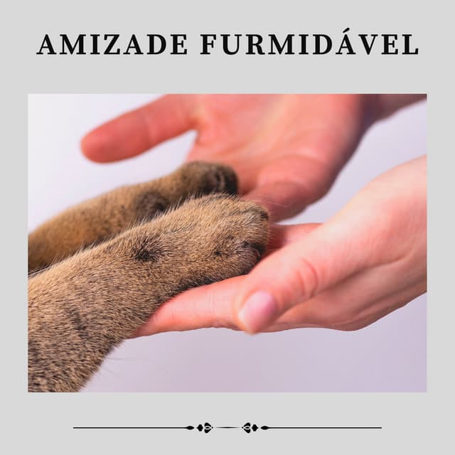 Amizade Furmidável - Musica para Gatos