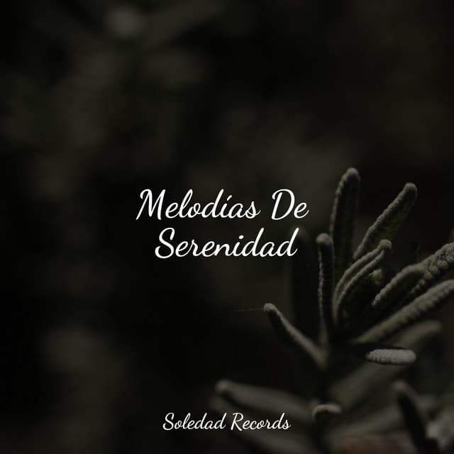 Melodías De Serenidad - Sonidos de la Naturaleza para Dormir