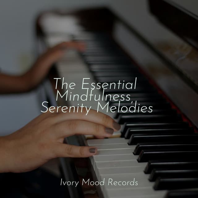 The Essential Mindfulness, Serenity Melodies - Dormir
