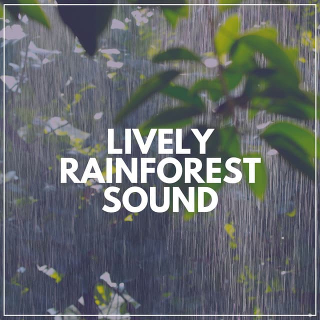 Lively Rainforest Sound - Rain Man Sounds