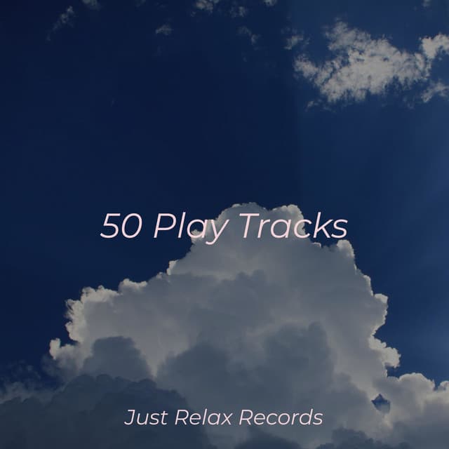 50 Play Tracks - Ambient