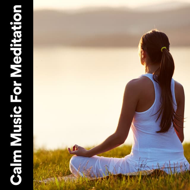 Calm Music for Meditation - Zen Minds