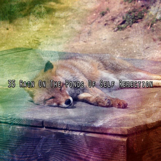 35 Rain on the Ponds of Self Reflection - The Rain Library