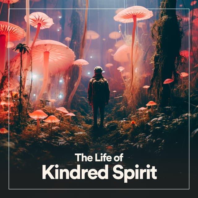 The Life of Kindred Spirit - Relaxing Music