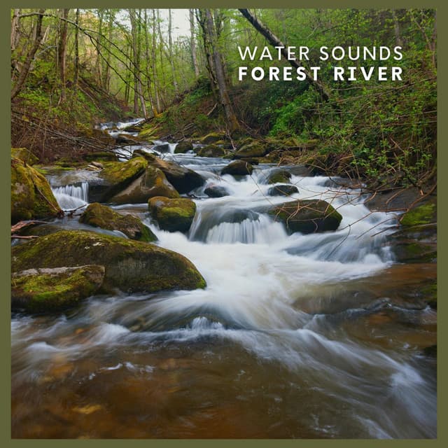 Water Sounds: Forest River - Water Sounds
