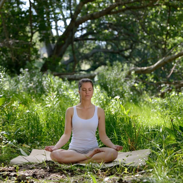Enchanted Forest Grove: Meditation and Harmony with Nature's Sounds - Foresty Ambient Noises