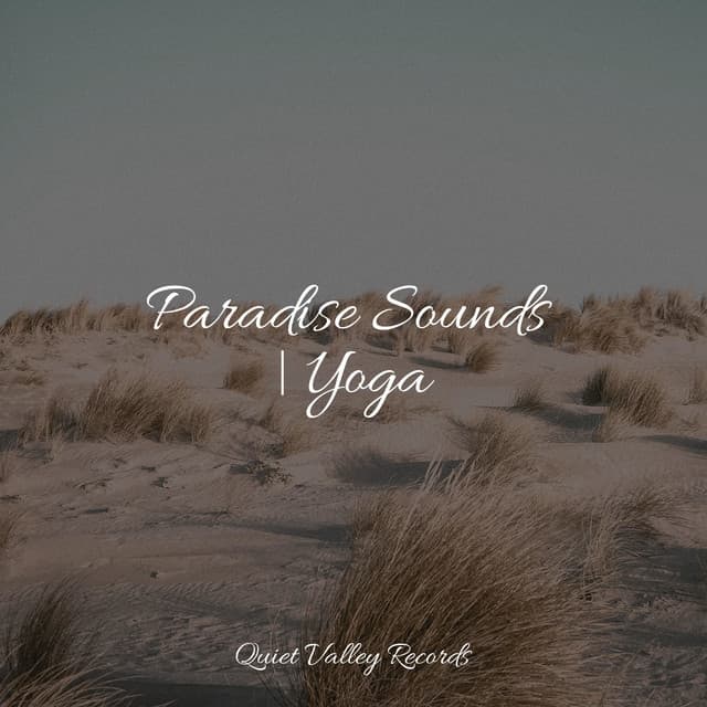 Paradise Sounds | Yoga - Rain Sounds Rain