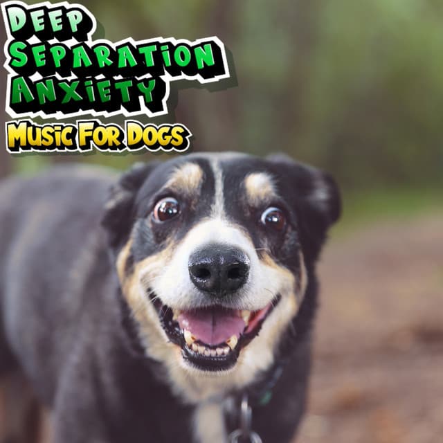 Deep Separation Anxiety Lullabies For Dogs - Deep Separation Anxiety Music For Dogs
