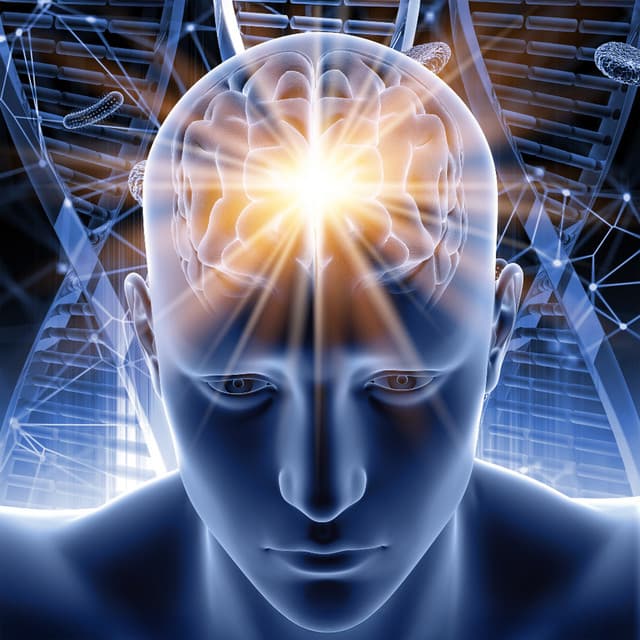 Breathe & Focus Grounding ADHD Energy Through Stillness - Toni Halpern