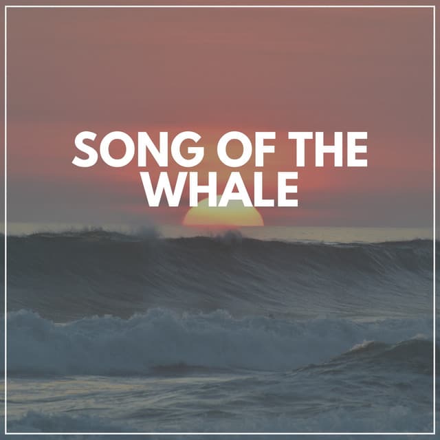 Song of the Whale - Sea Waves Sounds